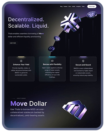 portfolio